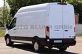 Daumennagel 7 - Ford Transit 350 Kasten L3H3 + 360°-Cam 2,5T AHK Navi