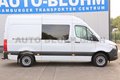 Daumennagel 3 - Mercedes-Benz Sprinter 315 Werkstattwg. Mixto L2H2 + Standhzg.