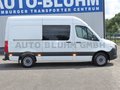 Daumennagel 4 - Mercedes-Benz Sprinter 315 Mixto Regaleinbaut. L2H2 + Standhzg