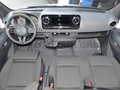 Daumennagel 16 - Mercedes-Benz Sprinter 315 Mixto Regaleinbaut. L2H2 + Standhzg