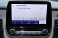 Daumennagel 20 - Ford Transit 300 Custom Mixto L2 + Cam Navi 5-Sitze