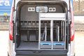 Daumennagel 4 - Ford Transit 300 Custom Mixto L2 + Cam Navi 5-Sitze