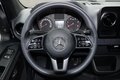 Daumennagel 14 - Mercedes-Benz Sprinter 317 Kasten L2H2 + 9G-Tronic 360°-Cam