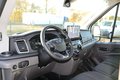 Daumennagel 13 - Ford Transit 350 Kasten L4H3 + Navi 360°-Kamera Klima