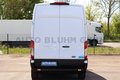 Daumennagel 6 - Ford Transit 350-EB Kasten L3H3 + BLIS Cam 3-Sitze AC