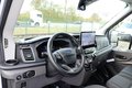 Daumennagel 13 - Ford Transit 350 Kasten L3H3 + Navi 360°-Cam 3-Sitze