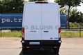 Daumennagel 6 - Ford Transit 350 Kasten L3H3 + 360°-Cam 2,5T AHK Navi