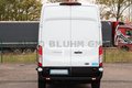 Daumennagel 7 - Ford Transit 350 Kasten L3H3 + Navi 360°-Cam 3-Sitze