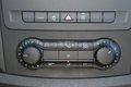 Daumennagel 22 - Mercedes-Benz Vito 114 CDI Mixto Compact 4X4 + Klima Standhzg.