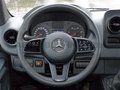 Daumennagel 15 - Mercedes-Benz Sprinter 314 Mixto L2H2 Stdhzg 2-Regale AHK 3,5T