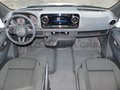 Daumennagel 17 - Mercedes-Benz Sprinter 315 Mixto Regaleinbaut. L2H2 + AHK 3,5T