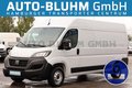 Daumennagel 1 - Fiat Ducato 35-D Kasten L4H2 Klima Kamera 3-Sitze PDC
