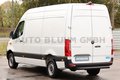 Daumennagel 7 - Mercedes-Benz Sprinter 317 Kasten L2H2 + 9G-Tronic 360°-Cam