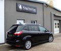 Daumennagel 4 - Ford Grand C-MAX 1.5 EcoB Titanium 7-SITZ+PANO+KAMERA