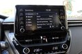 Daumennagel 17 - Toyota Corolla Touring Sports Hybrid BUSINESS TAXI