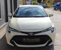 Daumennagel 6 - Toyota Corolla Touring Sports Hybrid BUSINESS TAXI