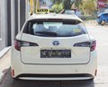 Daumennagel 7 - Toyota Corolla Touring Sports Hybrid BUSINESS TAXI