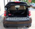 Daumennagel 10 - smart fortwo cabrio EDITION 10 62kW SERVO+SITZHEIZUNG+