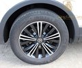 Daumennagel 35 - Volkswagen Tiguan 2.0 TDI Elegance 4M PANO+IQ-MATRIX+360+