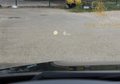 Daumennagel 12 - BMW X5 xDrive 40d M SPORT+NIGHTVISION+SOFT-CLOSE+AHK