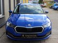 Daumennagel 6 - Skoda Octavia Combi First Edition SITZKLIMA+MASSAGE+
