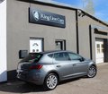 Daumennagel 4 - SEAT Leon 2.0 TDI Xcellence NAVI+SOUND+KEYLESS+NAVI+