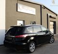 Daumennagel 4 - Ford S-MAX 2.0 Eco Blue Titanium 7-SITZER+KAMERA+LED+