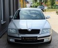 Daumennagel 6 - Skoda Octavia Combi 1.9 TDI Elegance 1.Hand+TEMPOMAT+