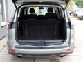 Daumennagel 15 - Ford S-MAX 2.0 Eco Boost Titanium 7-SITZE PANO+AHK+