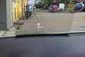 Daumennagel 11 - Volkswagen Passat Variant 2.0 TDI Business PANO+HUD+AHK+ACC+