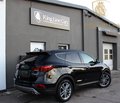 Daumennagel 4 - Hyundai SANTA FE 2.2 CRDi blue 4WD Premium KAMERA+LEDER+