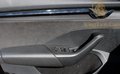 Daumennagel 19 - Skoda Octavia Combi RS SPORTPAKET+MASSAGE+MEMORY+MATRIX