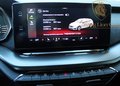 Daumennagel 25 - Skoda Octavia Combi RS SPORTPAKET+MASSAGE+MEMORY+MATRIX