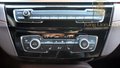 Daumennagel 18 - BMW X2 xDrive 20 i EDITION M MESH KAMERA+HUD+H/K+LED