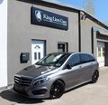 Daumennagel 1 - Mercedes-Benz B 220 CDI 4M AMG SPORTPAKET+DISTRONIC+PANO+AHK