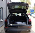 Daumennagel 23 - Audi Q8 50 TDI S LINE 21Z PANO+AHK+LUFTDER+ACC+MEMORY