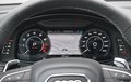 Daumennagel 33 - Audi RSQ8 /NEW MOD./SAGA/MASSA/HUD/AHK 23ZOLL