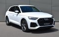 Daumennagel 3 - Audi SQ5 3.0 TDI SB/QUATTRO/ VIRTUEL.C/TEMPO/MATRIX/MMI/AHK