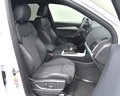 Daumennagel 18 - Audi SQ5 3.0 TDI SB/QUATTRO/ VIRTUEL.C/TEMPO/MATRIX/MMI/AHK