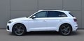 Daumennagel 9 - Audi SQ5 3.0 TDI SB/QUATTRO/ VIRTUEL.C/TEMPO/MATRIX/MMI/AHK