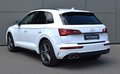 Daumennagel 8 - Audi SQ5 3.0 TDI SB/QUATTRO/ VIRTUEL.C/TEMPO/MATRIX/MMI/AHK