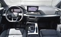 Daumennagel 13 - Audi SQ5 3.0 TDI SB/QUATTRO/ VIRTUEL.C/TEMPO/MATRIX/MMI/AHK