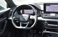 Daumennagel 14 - Audi SQ5 3.0 TDI SB/QUATTRO/ VIRTUEL.C/TEMPO/MATRIX/MMI/AHK