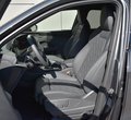 Daumennagel 12 - Audi SQ5 EDIT.ONE 21"/HUD/LUFT/360°/STHZ/RAUTTE/SITZLÜ.