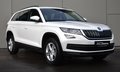 Daumennagel 3 - Skoda KODIAQ AMBITION/ RFK/PANO/SZH/AHK/TEMPO./CARPLAY