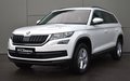 Daumennagel 1 - Skoda KODIAQ AMBITION/ RFK/PANO/SZH/AHK/TEMPO./CARPLAY