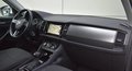 Daumennagel 14 - Skoda KODIAQ AMBITION/ RFK/PANO/SZH/AHK/TEMPO./CARPLAY