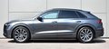 Daumennagel 9 - Audi Q8 50 TDI S-LINE/QUATTRO/ HD-MATRIX/ALL.L/LUFT/STAND./B&O