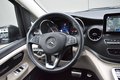 Daumennagel 18 - Mercedes-Benz V 300d Marco Polo AMG Edition KÜCHE/ACC/AHK/360°