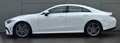 Daumennagel 9 - Mercedes-Benz CLS 400d 4M/AMG/ STHZ/WIDES./LEDER/360°/BURMESTER/LED